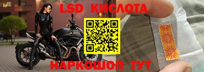 шишки Бийск