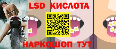 шишки Бийск